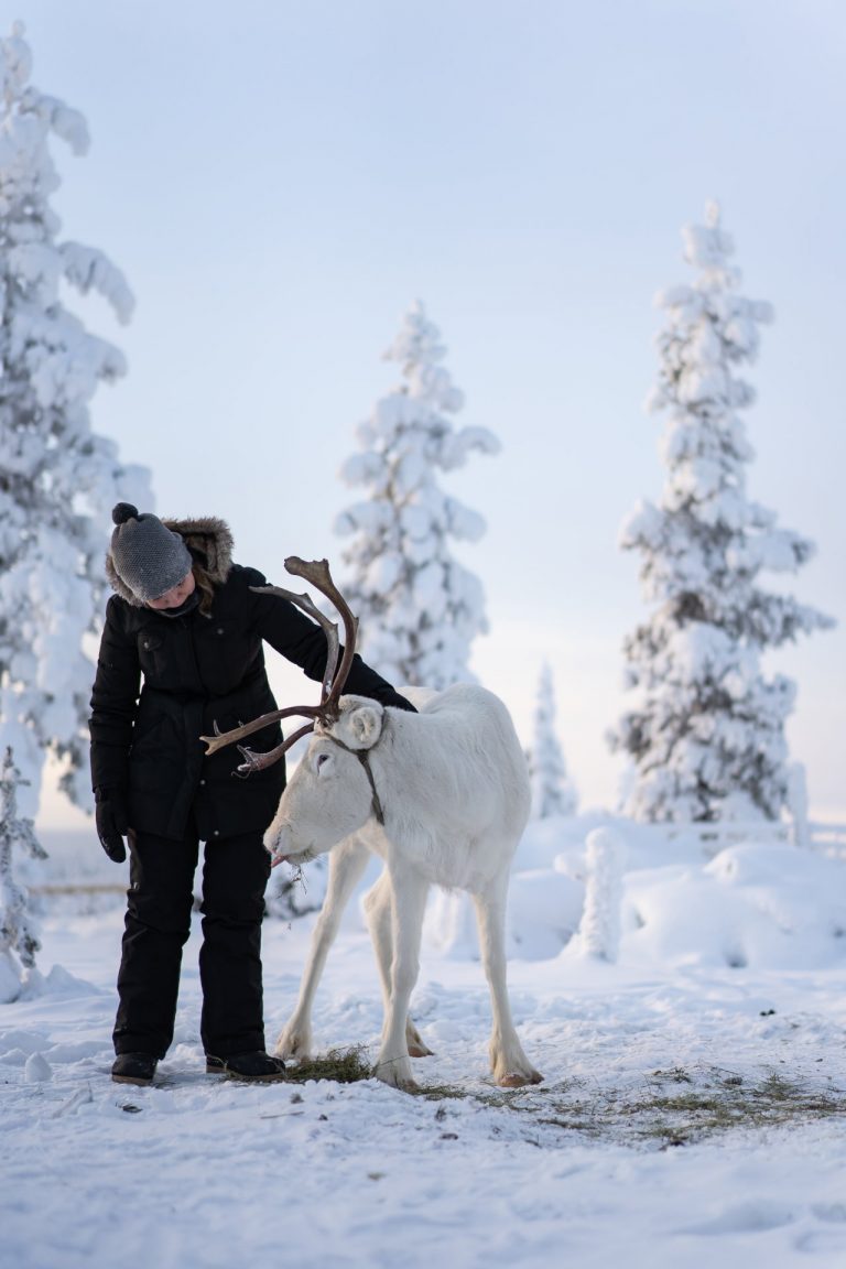 Saariselkä, Lappi